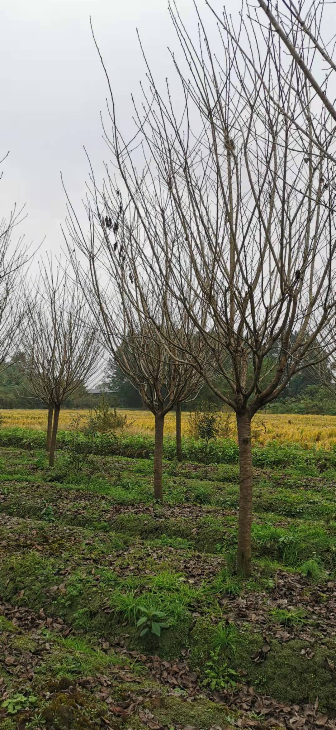 1635513022781019.jpg 微信图片_20211027150511.jpg